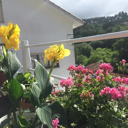 게스트하우스 El Pozo 쿠딜레로